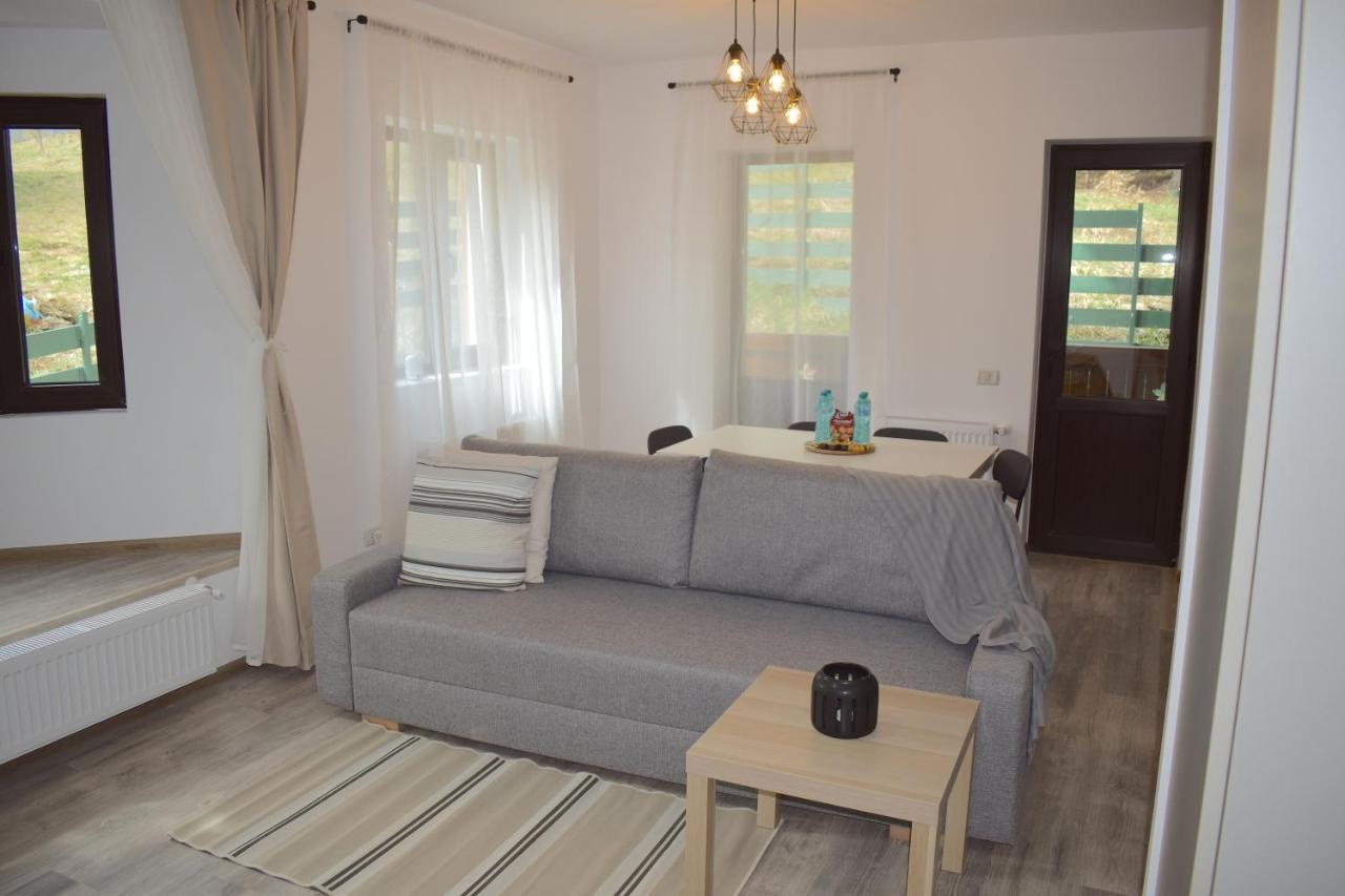 Cosy&Minimalistic Apartments - Haret Building Sinaia Luaran gambar