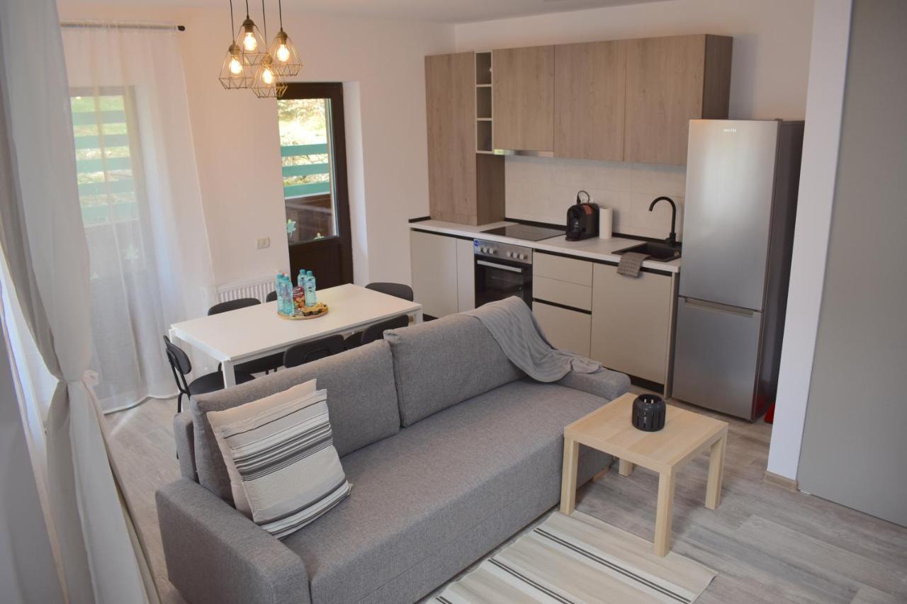 Cosy&Minimalistic Apartments - Haret Building Sinaia Luaran gambar