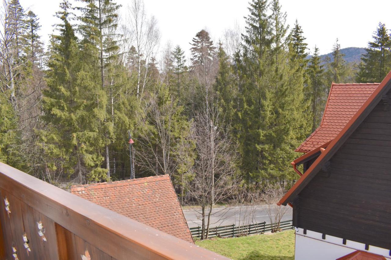 Cosy&Minimalistic Apartments - Haret Building Sinaia Luaran gambar