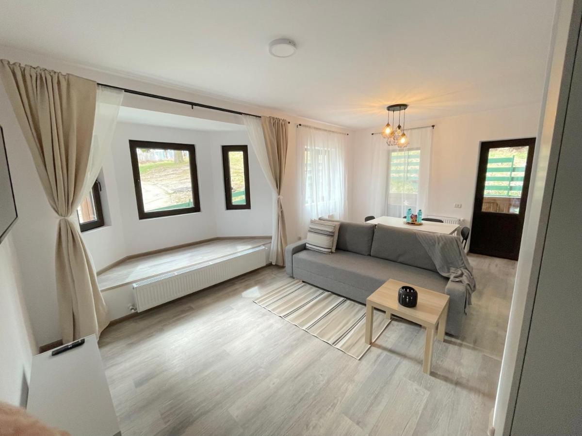 Cosy&Minimalistic Apartments - Haret Building Sinaia Luaran gambar