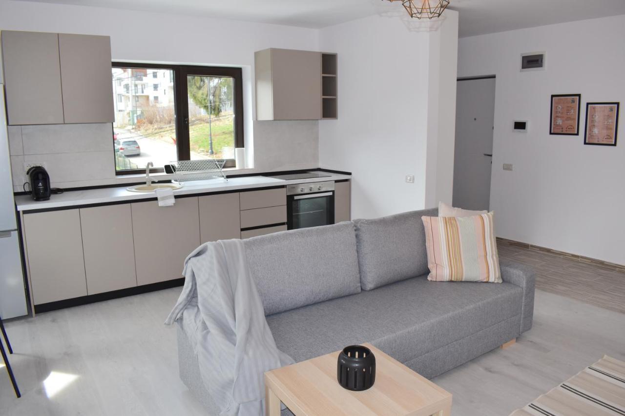 Cosy&Minimalistic Apartments - Haret Building Sinaia Luaran gambar