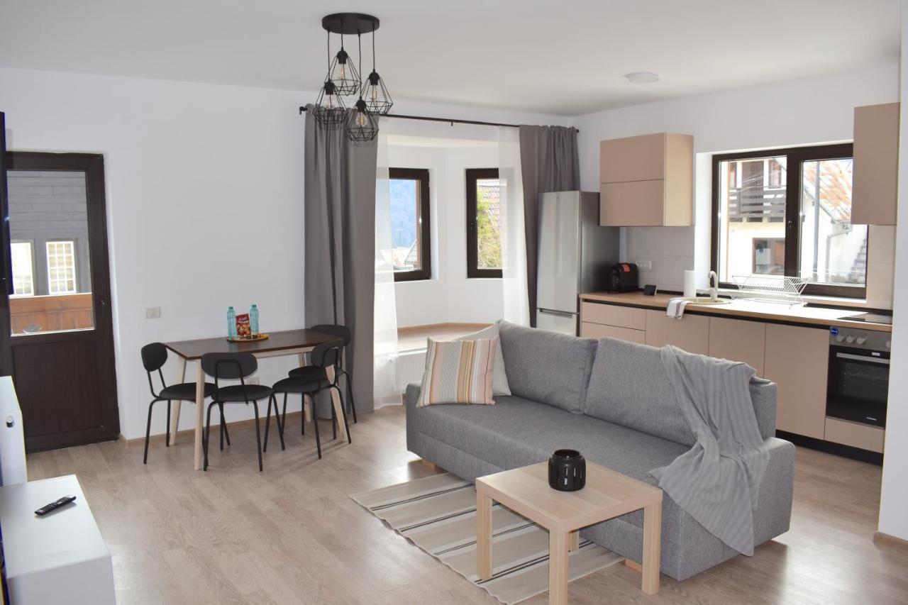 Cosy&Minimalistic Apartments - Haret Building Sinaia Luaran gambar