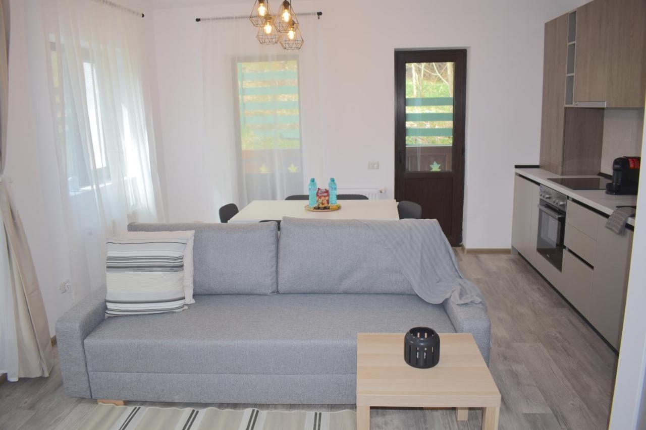 Cosy&Minimalistic Apartments - Haret Building Sinaia Luaran gambar