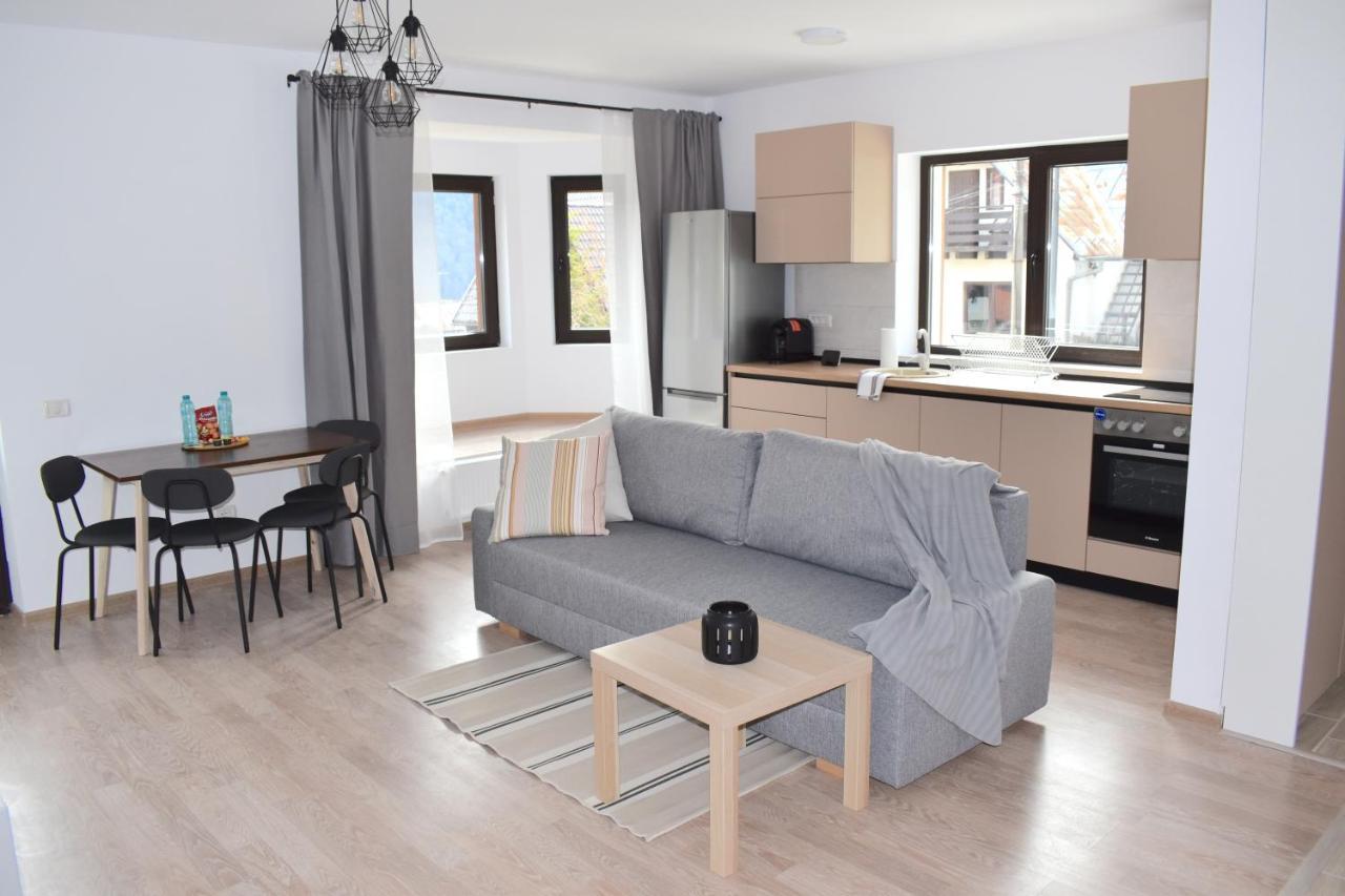 Cosy&Minimalistic Apartments - Haret Building Sinaia Luaran gambar